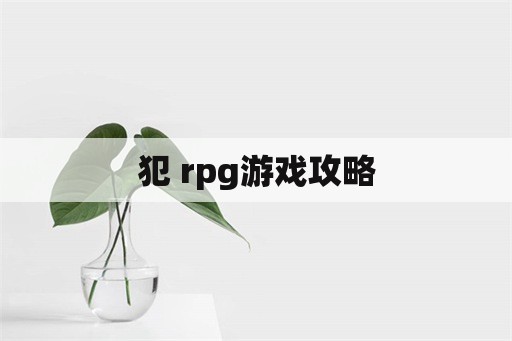 犯 rpg游戏攻略